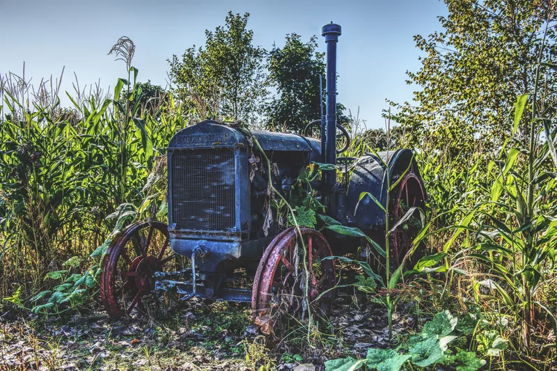 15-acre corn maze near Chicago