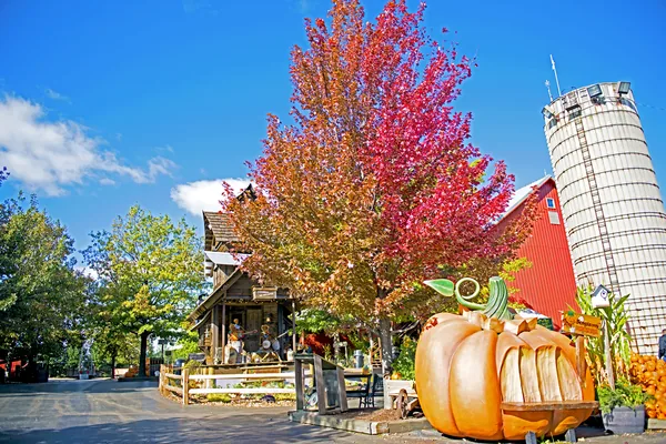Farm market display with vibrant autumn pumpkins and gourds at Bengtson's Pumpkin Farm