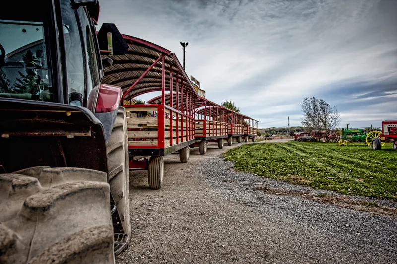 Tractor-drawn wagon ride through autumn fields