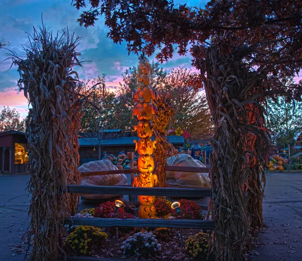 Frankfort pumpkin patch