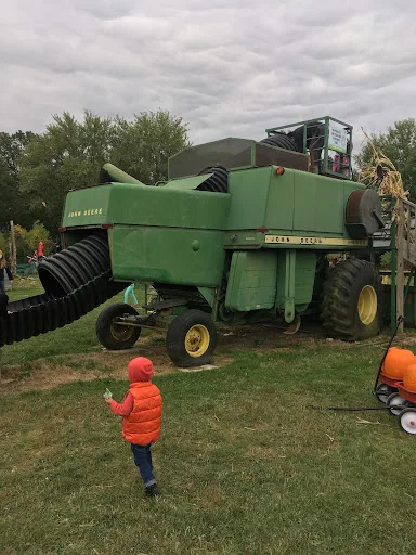 Outdoor activity grounds at Abbey Farms