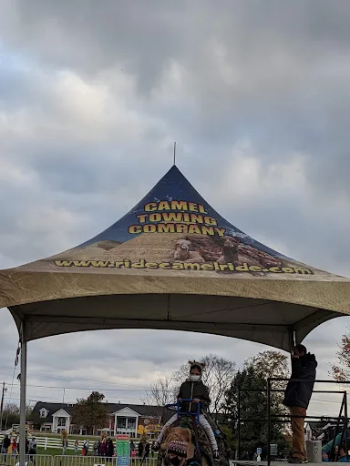 Carnival style displays and festival attractions at Goebbert's