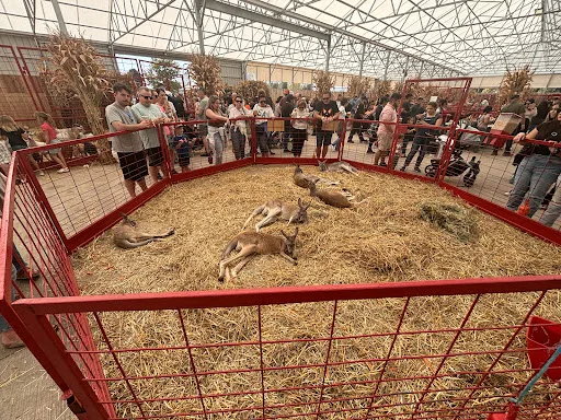 Animal enclosure conditions at Goebbert's Farm