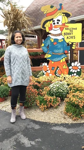 Pumpkins displayed in field at Sonny Acres Farm